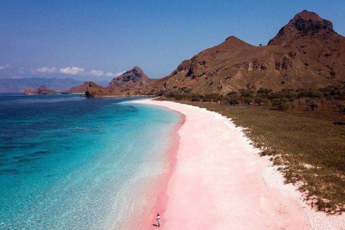 Pesona Pantai Pink