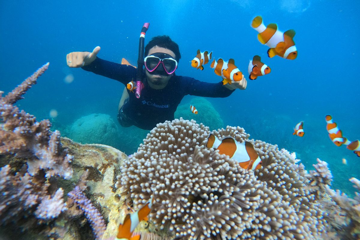 Aktivitas Snorkeling